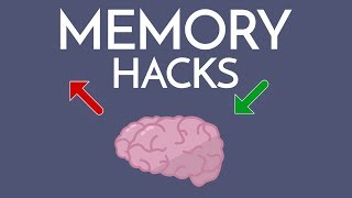 Most Effective Way to IMPROVE MEMORY amp Memorize ANYTHING [upl. by Corron303]