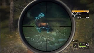 Hunting red deer in the hunter call of the wild [upl. by Yewed404]