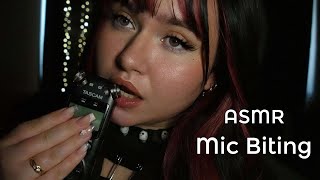 ୨ৎ Pure mic biting amp tascam mic licking for deep sleep ASMR [upl. by Territus]