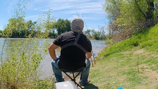 Relaxing Day River Bait and Wait Fishing Striped Bass Sacramento River [upl. by Taddeo973]