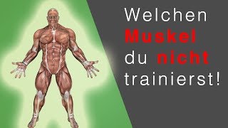 RUDERGERÄT TRAINING Dieser Muskel wird NICHT trainiert… OMG [upl. by Werdna]