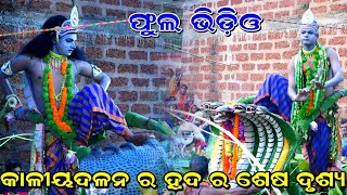 ଫୁଲ ଭିଡିଓ କାଳୀୟଦଳନ  Kaliya Dalana  Kalia Dalana Nacha  Krushana Lila  Kaliya Dalana Odia Nacha [upl. by Targett]