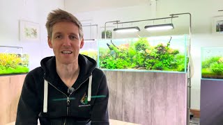 Aquascape Updates  NEW Setup by MD Fish Tanks Low Tech System at Aquarium Gardens [upl. by Ahsiken]