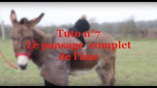 TUTO  Le pansage complet de lâne [upl. by Nahsad]