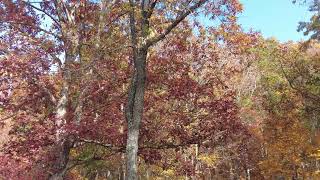 Boone Gap in Rockcastle County Kentucky [upl. by Welby]