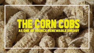 THE CORN COBS AS ONE OF RENEWABLE ENERGY [upl. by Eneluj]