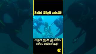 ජීවිත අවදානම නොතකා බුදු පිළිමය නිසි ලෙස සකස් කළ කිමිදුම්කරුවෝ [upl. by Ycniuq900]