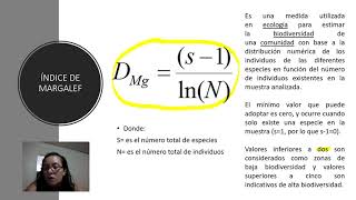 INDICE VALOR IMPORTANCIA [upl. by Araf]