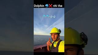 Wo Dolphins nhi tha dosto❌🙏😱😅msc ship wheels dolphin shark youtubeshorts viralvideo trending [upl. by Anilecram]