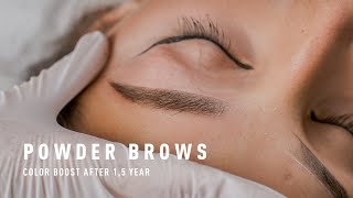 Powder Brows Tutorial  Color Boost After 18 months [upl. by Joon213]