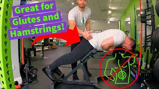 45 degree Hyperextension Exercise [upl. by Jordan51]