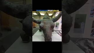 50000 Years Old Bison 😱 shorts​ [upl. by Lanta]