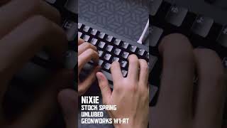 Cherry MX Nixie Lubed vs Unlubed  Spring swap  Geonworks W1AT [upl. by Ahsotan120]