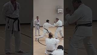 WSKF  Sensei Hitoshi Kasuya 2024  SEDAI Karatedo 22 [upl. by Noryv]