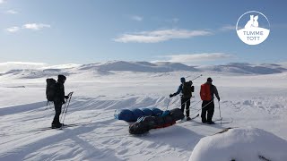 Hardangervidda On Reindeer Paths 5 Day Winter Camping ⛺️ [upl. by Vlada]