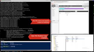 Volume Shadow Copy Management [upl. by Lrad342]