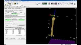 Visual3D Video Tutorial 6DoF Model Building  Segment Coordinate System [upl. by Rann111]