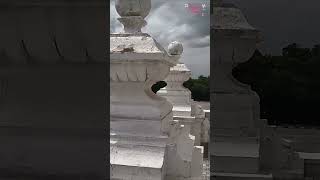 Lalitha Mahal Palace Hotel  Lalitha Mahal Palace  Mysore Places to Visit  Mysore Palace Stay [upl. by Iahs]