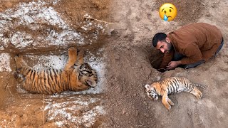 RIP My TigerðŸ’” [upl. by Remled]