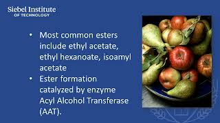 Isoamyl Acetate [upl. by Norraf]