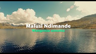 Malusi Ndimande  Wangenza umuntu Official Lyric Video [upl. by Selij]