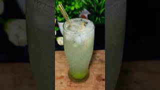 Pulse mojito  sprite mojito  mint mojitotrending viralvideo shorts pulsemojito summerdrink [upl. by Mcnamara]