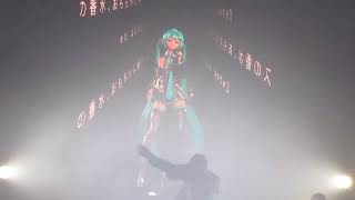 SARAMALACARA ft HATSUNE MIKU  10percs  LIVE COMPLEJO C ART MEDIA [upl. by Duer]