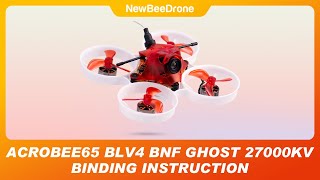 AcroBee65 BLV4 GHOST Receiver Binding Instruction  A NewBeeDrone Tutorial [upl. by Egidius]