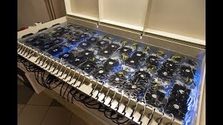 Immersion cooling mining farm Beeminer [upl. by Ittap]