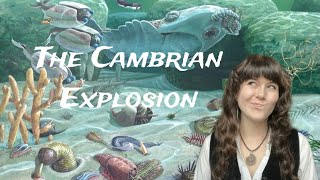 The Cambrian Explosion [upl. by Carolynne]