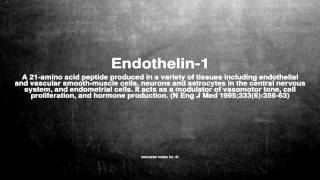 Medical vocabulary What does Endothelin1 mean [upl. by Jordans203]