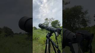 150600 mm lens photography 🤯 shorts photography ytshorts [upl. by Llessur578]