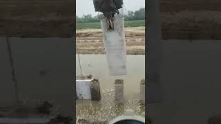 River embankment cofferdam cement board installation process [upl. by Annodam]