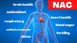 Top 8 Benefits of NAC NAcetyl Cysteine [upl. by Carolan]