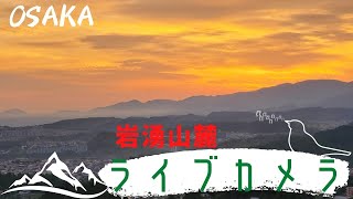 金剛山 葛城山 ライブカメラ 即時影像 🔴Osaka Mountain View Live Camera 247 livestreaming Japan【Haru】 [upl. by Tamsky]