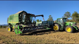 Cosecha de cereal 2023 John Deere w540🌾🚜⚡ GoProHD4K  Cosechando trigo en Burgos [upl. by Anoval]