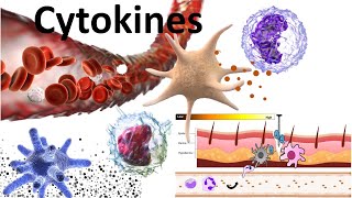 Cytokines  Structure sub families signaling mechanism and biomedical use [upl. by Sayette606]