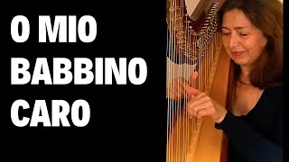 Puccini  O Mio Babbino Caro  Harp [upl. by Etnoval]