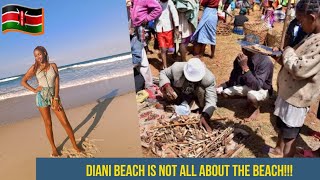 Unseen Diani Beach Secrets Revealed [upl. by Skelly]