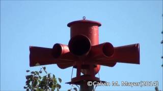 Wilkinson IN Sentry 10V Siren Test 101714 [upl. by Faustina]