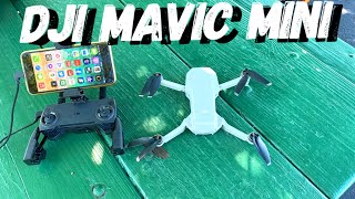 DJI Mavic Mini Update 01000600 [upl. by Hgiel]