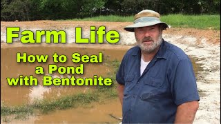 How to Seal a Pond with Bentonite  Sprinkle Method [upl. by Millian616]