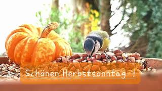 Schönen Herbstsonntag [upl. by Godber438]