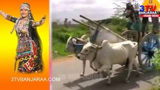 Karepalli Gamaythi Kali Chori Super Hit Banjara Old Video Song  Janakiram Banoth  3TV BANJARAA [upl. by Maxey244]