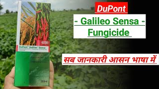 galileo sensa fungicide uses  picoxystrobin  tricyclazole fungicide uses  dupont  a2z farming [upl. by Euqinad851]