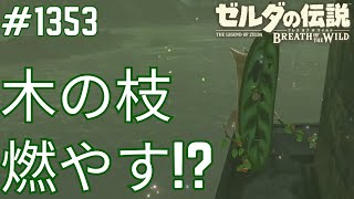 【1353】ハイリア大橋を探索！木の枝のコログ多わかるかゼルダの伝説 ブレス オブ ザ ワイルド [upl. by Norri]