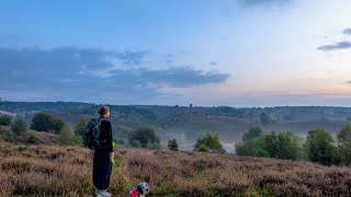 Hiking in Rheden  Gelderland  Netherlands [upl. by Leonid739]