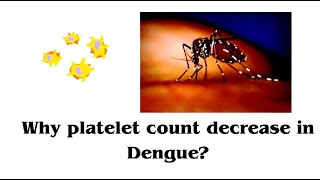 Why platelet count decrease in dengue ll Thrombocytopenia ll [upl. by Alice321]