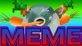 Pufferfish Eating A Carrot Meme Compilation [upl. by Toscano]