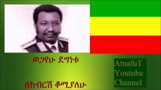 Wogayehu Degnetu  ለክብርሽ ቆሚያለሁ  Lekibrsh Komiyalehu [upl. by Noek]